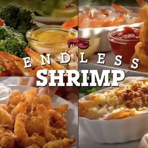 Endless Shrimp 21/04/2017