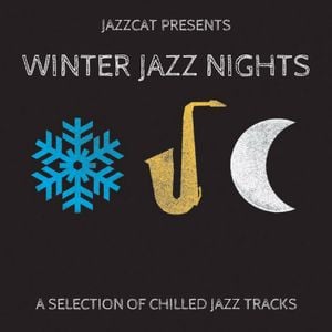 Cover art for Winter jazz nights by maxvibes