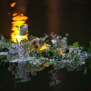 Палітра від 24.06-Професор Ірина Павленко про традиції Івана Купала