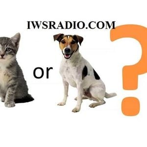 Do Dogs Rule While Cats Drool An Iws Investigation By Iws Radio