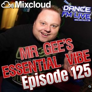 Mr Gee - Essential Vibe Show 125 2022-02-17