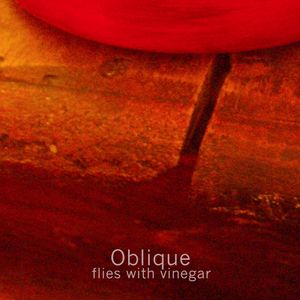 Oblique: Flies with Vinegar (Bruits de Fond Dig it! 01) mp3 download available from bruitsdefond.org