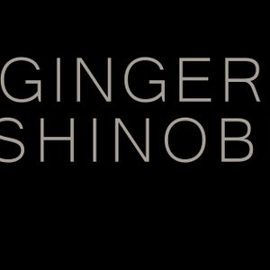 Moombahton mixtape by Ginger Shinobi, August 2011