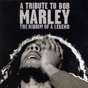 Excuse me While I light my spliff 4.0 - Tribute Bob Marley by Manuca Mixcloud