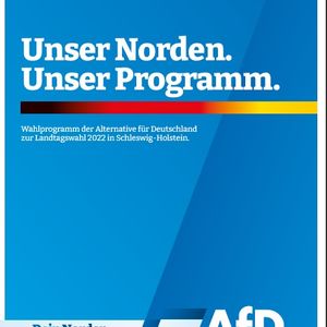 AfD-Programm zur Landtagswahl in Schleswig-Holstein 2022