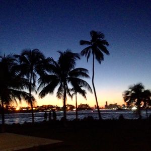 Dj Who Presents Outlier Wire Tap Miami Beach Tracks By Outlier Wire Tap Miami Beach Tracks