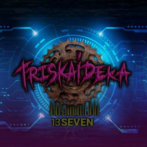 Flesh_Bot :: Triskaideka :: July 13, 2021 :: Synchronised Beat F*cK! :: Industrial + Rhythmic Noise