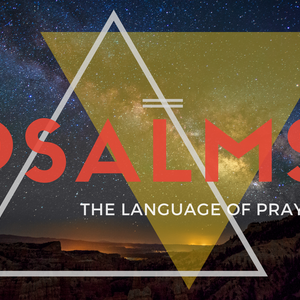THE LANGUAGE OF PRAYER: Psalm 13 - Praying through Brokenness (Luke Swain)