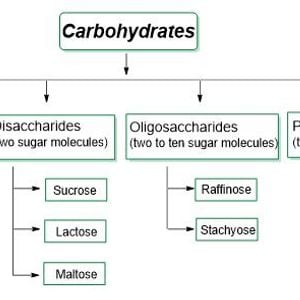 carbohydrate synthesis by AdaBron | Mixcloud