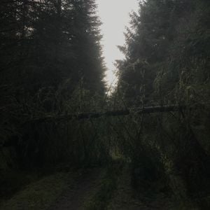 Intention, Impact, Output #1