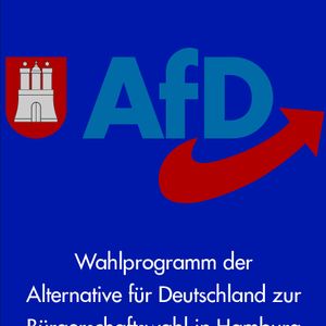 AfD-Programm zur Bürgerschaftswahl am 23.02.2020 in Hamburg