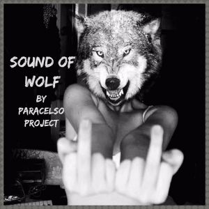 Sound Of Wolf Black Epic Wolf By Paracelso Project By Paracelso Project Mixcloud Amanda walker in the night club. sound of wolf black epic wolf by