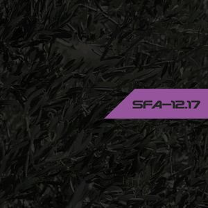 SFA-12.17