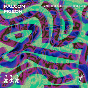 Who's Playing with Palcon Figeon 13.05.22