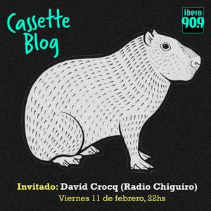 Cassette Blog en Ibero90.9 FM Prog 315 (Vier 11-02-2022)