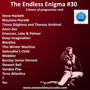 The Endless Enigma #30