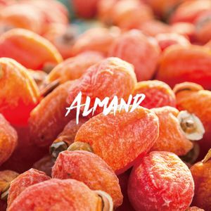 Almand -Persimmon Color- mix by clutch