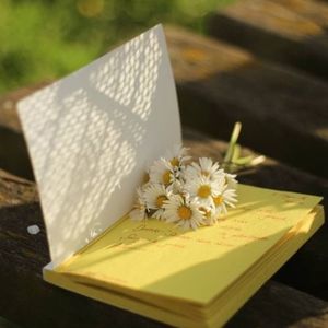 Cuộc Cach Mạng Một Cọng Rơm Lời Giới Thiệu By Pi Peace Mixcloud