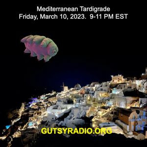 Bob from CA 3/10/23 7-9 pm show on Gutsy Radio.  Mediterranean Tardigrade!