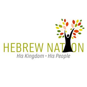 Living Torah Noah By Radio Hebrew Nation Online Mixcloud