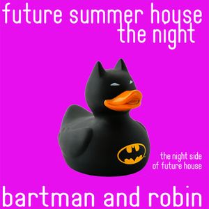 Future Summer House-The Night