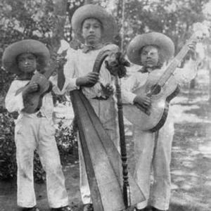 Lo nuestro: Instrumentos del Son Jarocho