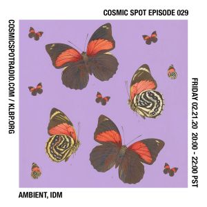 Cover art for Cosmic Spot Episode 029 - Ambient, IDM, Dub by cosmicspot