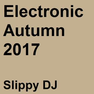 ELECTRONIC AUTUMN 2017 / SLIPPY DJ 7758-59c4-4096-b2aa-dbd70acb1402
