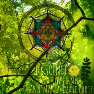 Dj Solnce - "Anatman Private Party 2018" Goa, PsyProgressive & Psychedelic Trance Mix