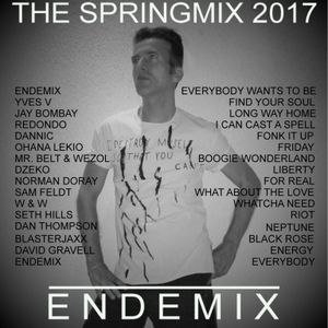 ENDEMIX - THE SPRINGMIX 2017
