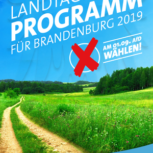AfD-Programm zur Landtagswahl am 01.09.2019 in Brandenburg