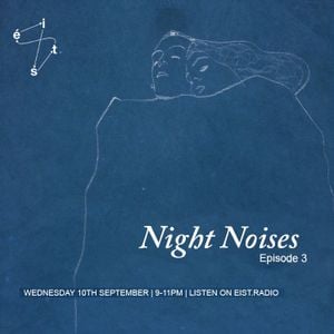 Night Noises Ep. 3