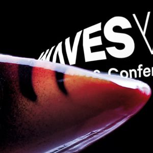 Waves Vienna Music Festival & Conference: Enter the Polish Market