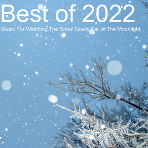 Best of 2022 : Music For Watching The Snow Slowly Fall In The Moonlight
