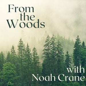 5-1-2023 Noah Crane - From the Woods by Rockin' the Suburbs Radio ...