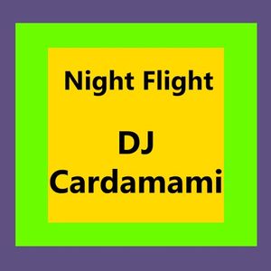 Night Flight 005: DJ Cardamami