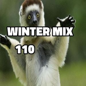 Cover art for Winter Mix 110 - Podcast 28 (April 2017) by WinterSC