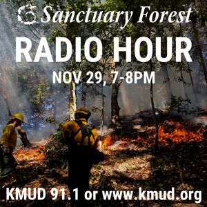 Sanctuary Forest Radio Hour 11/29/18