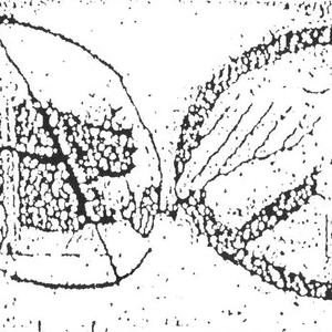 Occult Punk Gang 13-05-2020