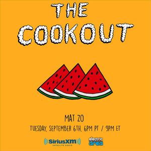 The Cookout 011 Mat Zo By The Cookout Mixcloud