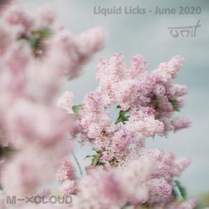 Liquid Licks - June 2020