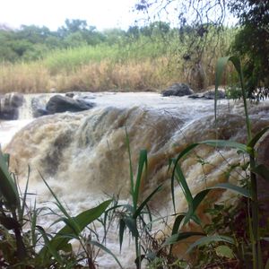 Paseos culturales: las riberas del río Lerma