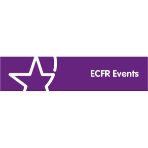 Geopolitical oblivion or a pragmatic approach? Britain, the EU and European foreign policy in 2012