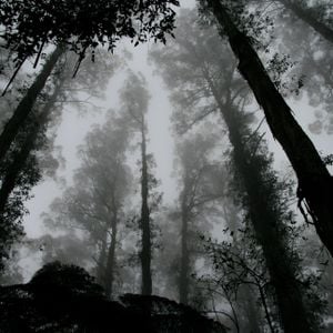 Cover art for Dubby and dreamy by lowlight