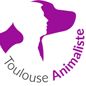 La Midinale#47 - Toulouse Animaliste avec Quentin Charoy - 03.02.21