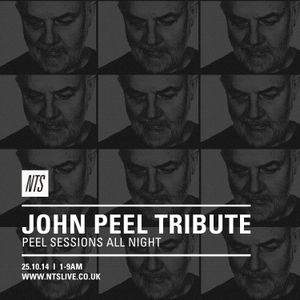 John Peel Tribute (Side A) - 25th October 2014