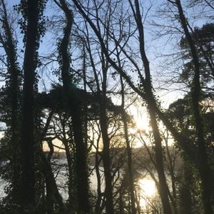 Intention, Impact, Output #3