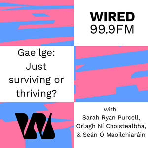 Wired In Panel Discussion - Gaeilge: Thriving or Just Surviving?
