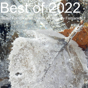 Best of 2022 : Music For Withered Leaves And Lonely Fishtanks