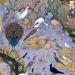 The Conference of the Birds (منطق الطیر) - (Kourosh - Marzieh ...